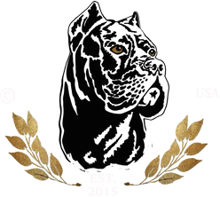 Dazzling Dog Collars